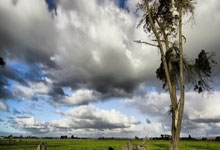 开云体育入口-日本队逆转中国队，戴资颖点燃赛场的简单介绍