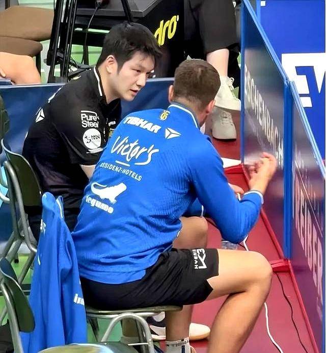 包含比利时乒乓球队碾压韩国乒乓球队，樊振东统治全场的词条